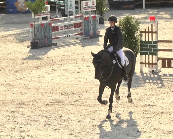 Reitturnier Illertissen 2017