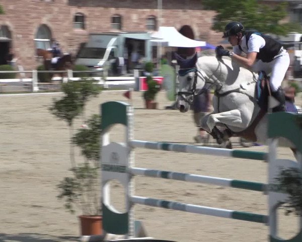 Reitturnier Zweibrücken 2017