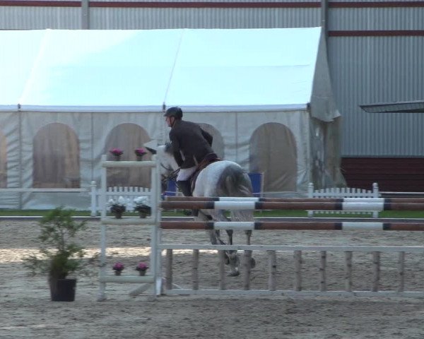 Reitturnier Zweibrücken 2017