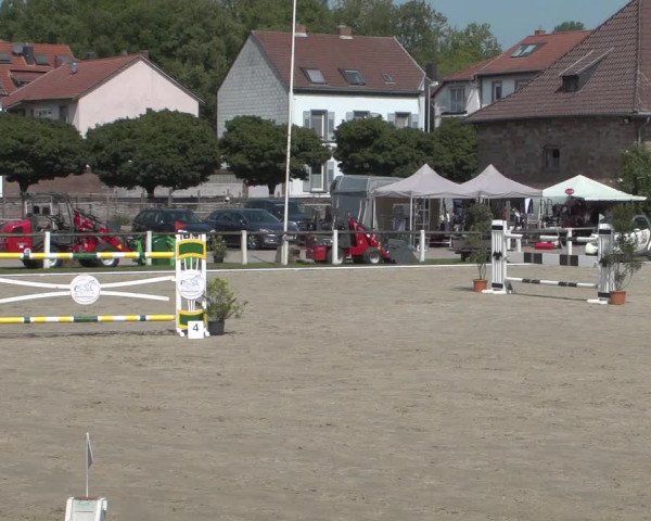 Reitturnier Zweibrücken 2017