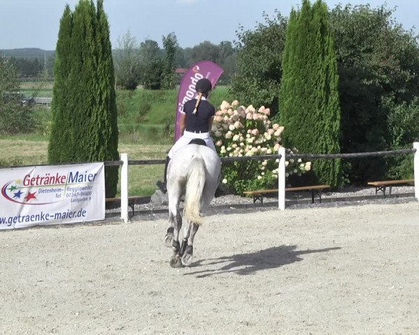 Reitturnier Illertissen 2017