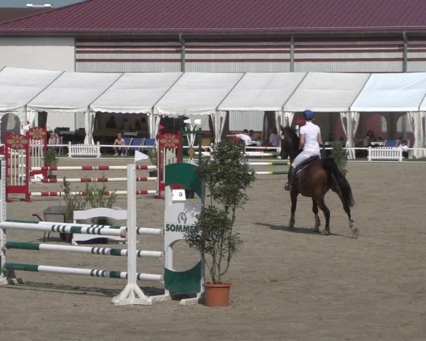 Reitturnier Zweibrücken 2017