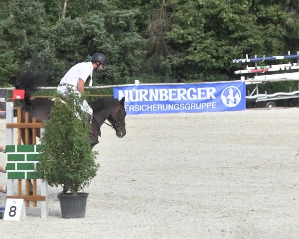 Reitturnier Illertissen 2017