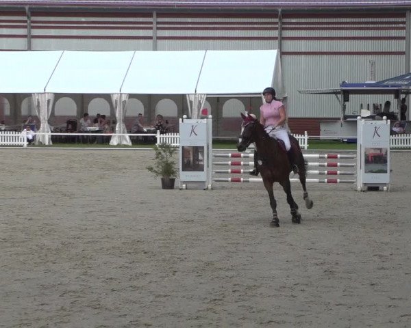 Reitturnier Zweibrücken 2017