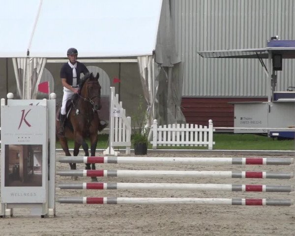 Reitturnier Zweibrücken 2017