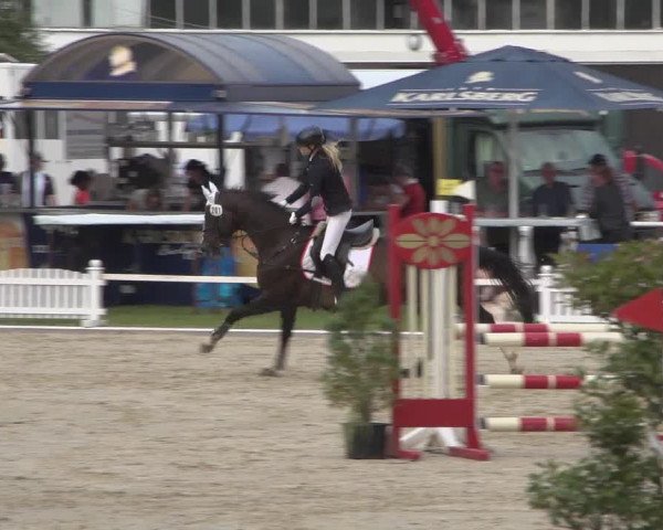 Reitturnier Zweibrücken 2017
