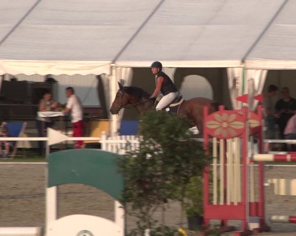 Reitturnier Zweibrücken 2017