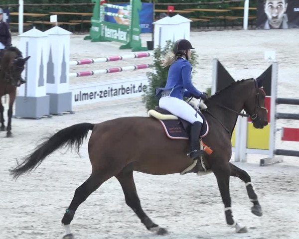 Reitturnier Illertissen 2017