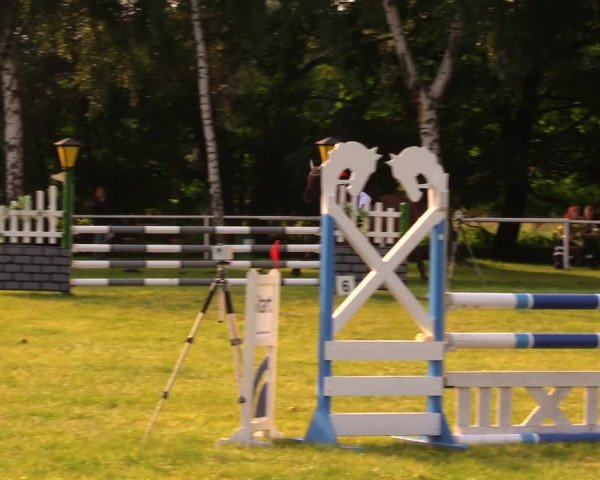 Reitturnier Berlin-Malchow 2017