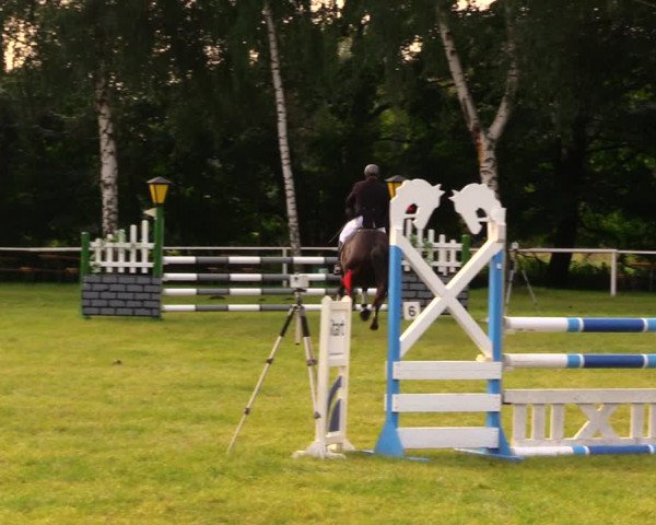Reitturnier Berlin-Malchow 2017