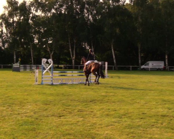 Reitturnier Berlin-Malchow 2017