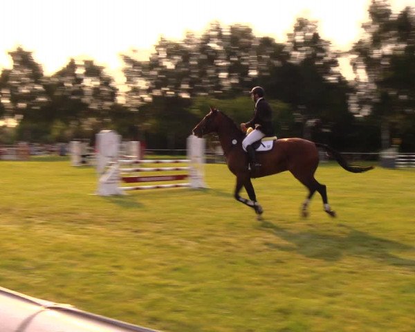 Reitturnier Berlin-Malchow 2017