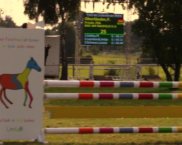 Reitturnier Berlin-Malchow 2017