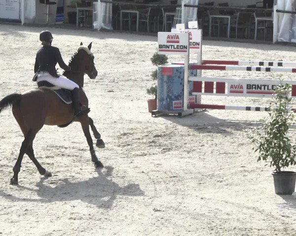 Reitturnier Illertissen 2017
