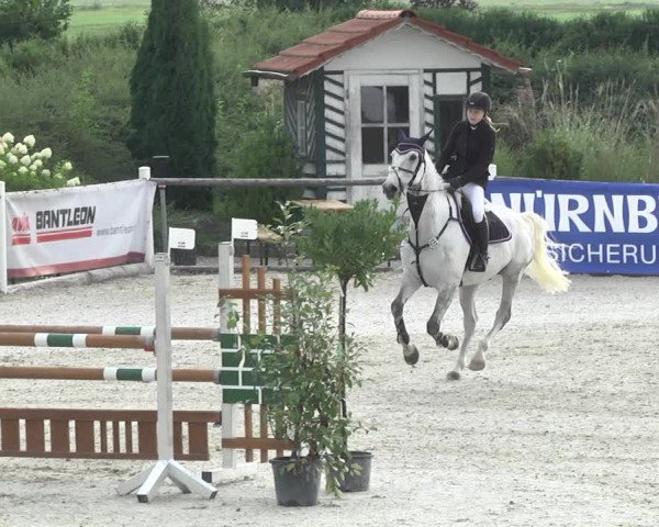 Reitturnier Illertissen 2017