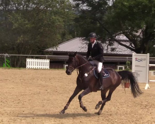 Reitturnier Bühren-Breckerfeld 2017