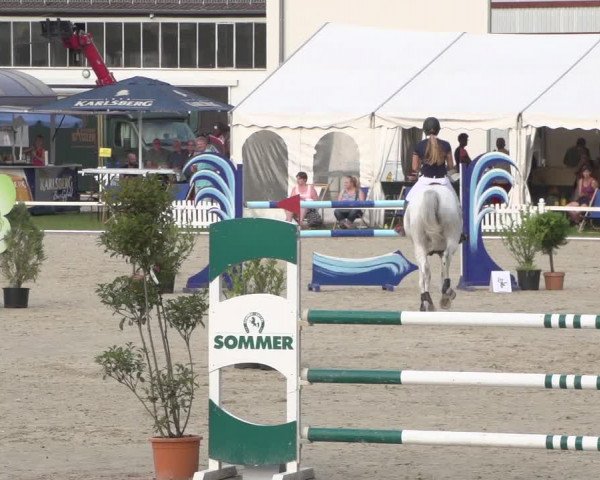 Reitturnier Zweibrücken 2017