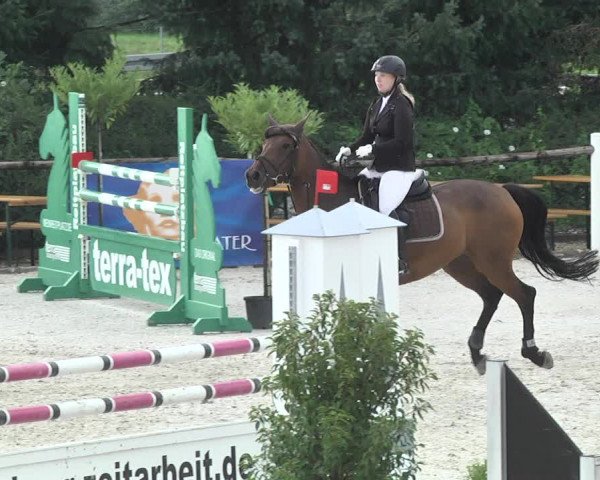 Reitturnier Illertissen 2017
