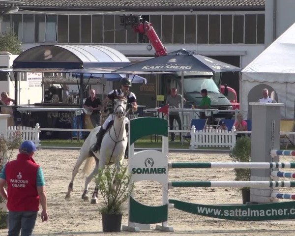 Reitturnier Zweibrücken 2017