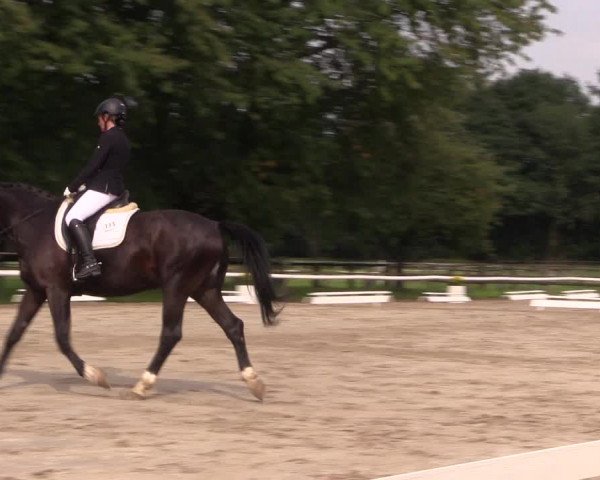 Reitturnier Recklinghausen 2017