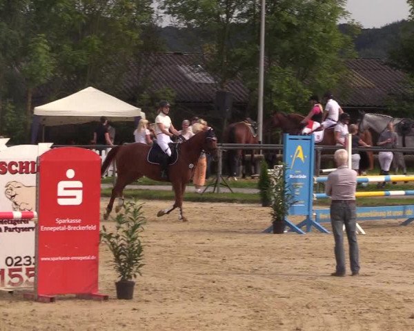 Reitturnier Bühren-Breckerfeld 2017