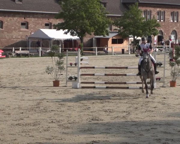 Reitturnier Zweibrücken 2017
