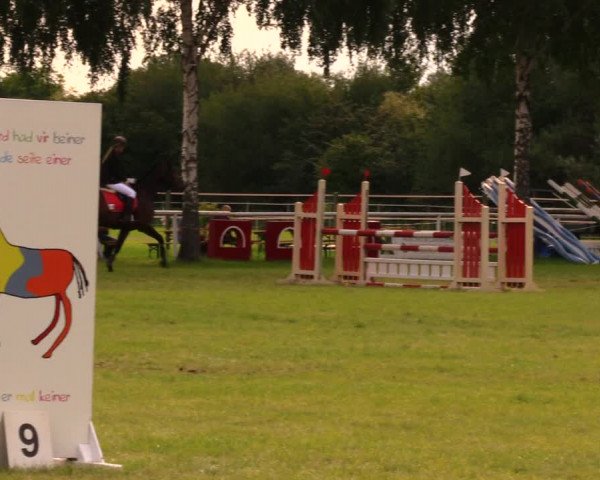 Reitturnier Berlin-Malchow 2017