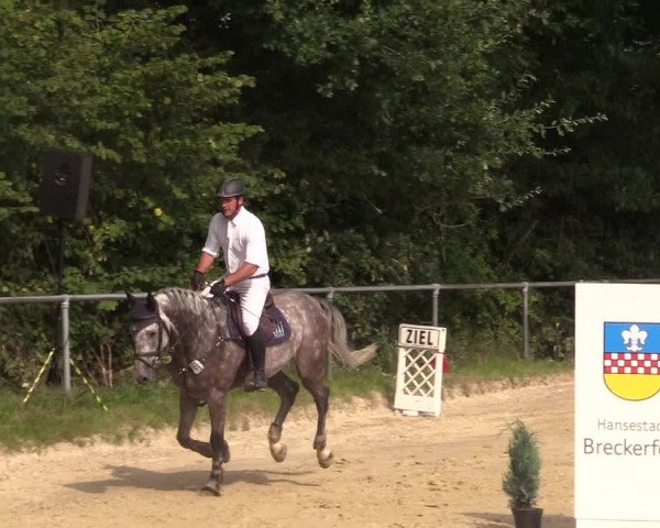 Reitturnier Bühren-Breckerfeld 2017