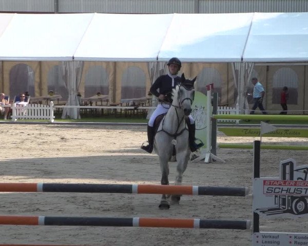 Reitturnier Zweibrücken 2017