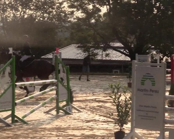 Reitturnier Bühren-Breckerfeld 2017