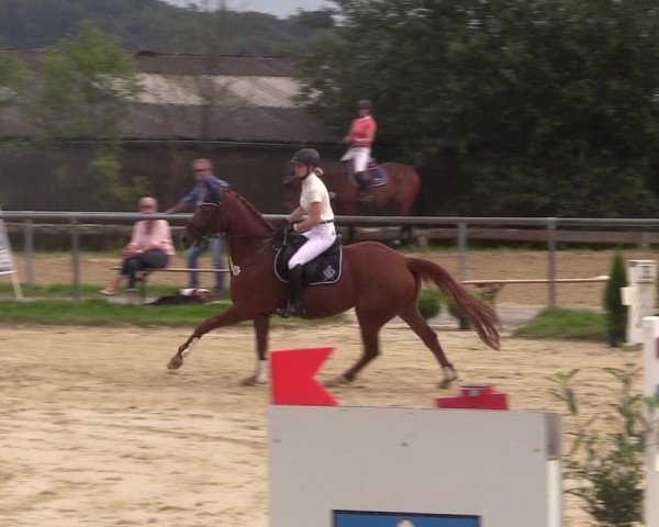 Reitturnier Bühren-Breckerfeld 2017