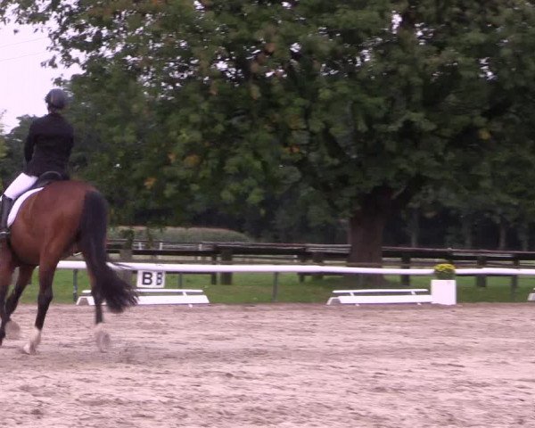 Reitturnier Recklinghausen 2017