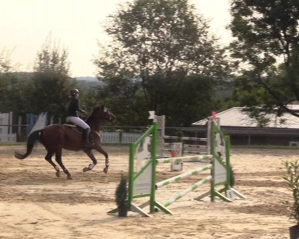 Reitturnier Bühren-Breckerfeld 2017
