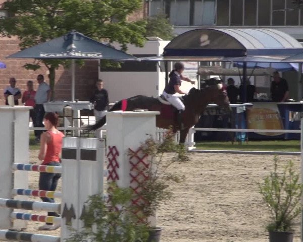Reitturnier Zweibrücken 2017