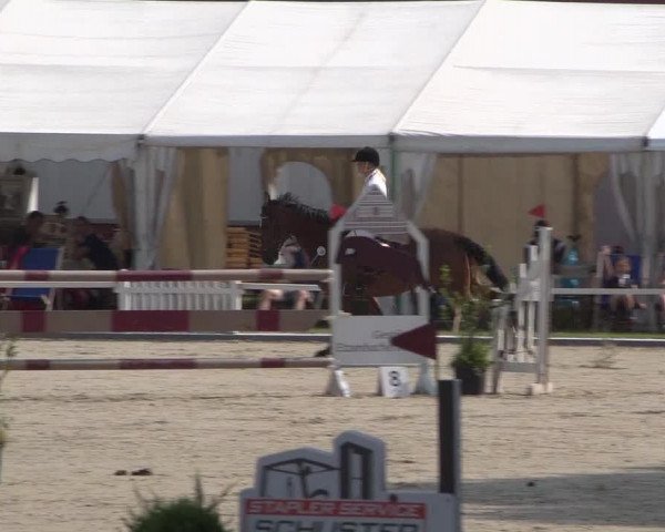Reitturnier Zweibrücken 2017