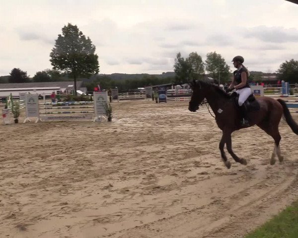 Reitturnier Bühren-Breckerfeld 2017