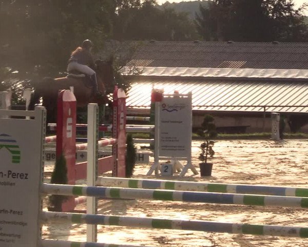 Reitturnier Bühren-Breckerfeld 2017