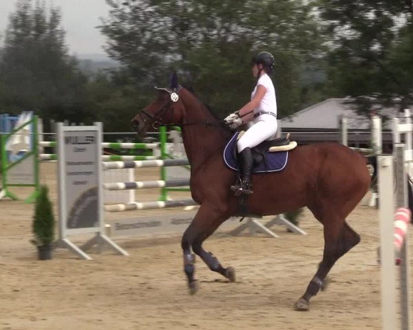 Reitturnier Bühren-Breckerfeld 2017