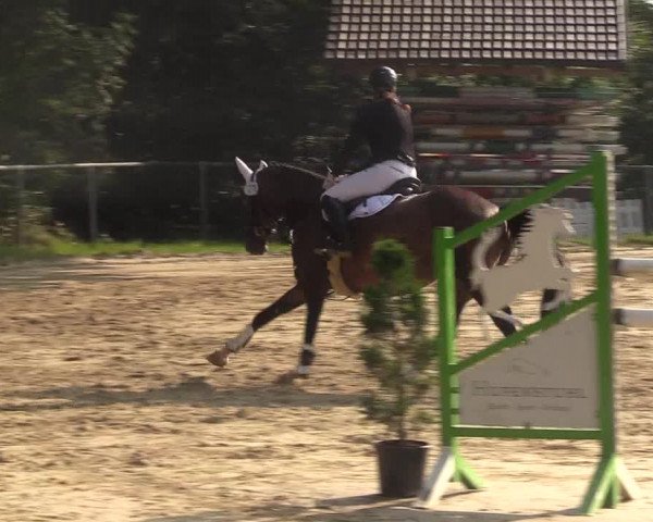 Reitturnier Bühren-Breckerfeld 2017