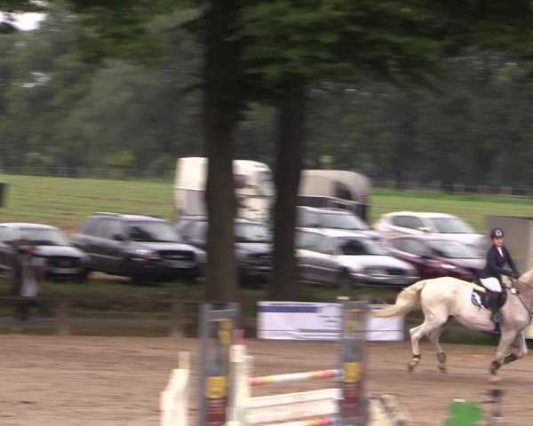 Reitturnier Recklinghausen 2017