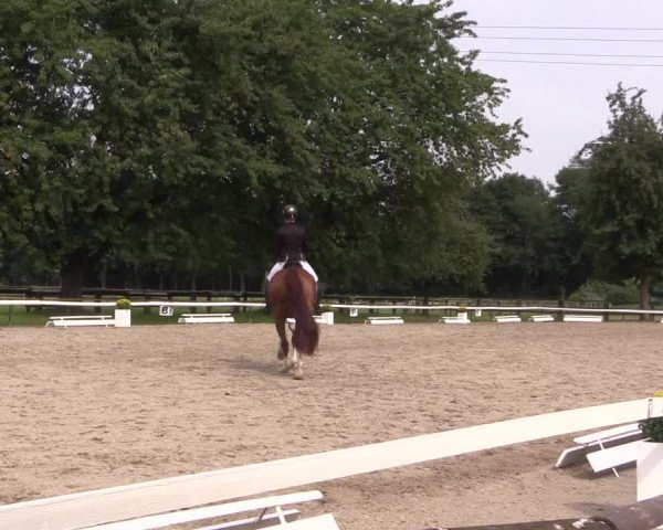 Reitturnier Recklinghausen 2017