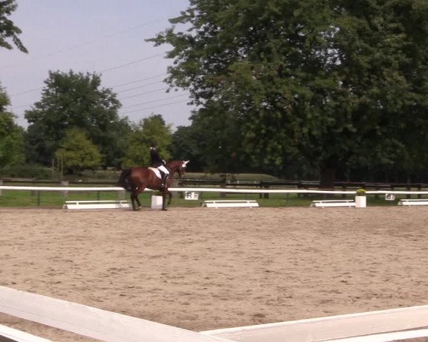 Reitturnier Recklinghausen 2017