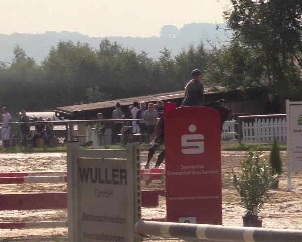 Reitturnier Bühren-Breckerfeld 2017