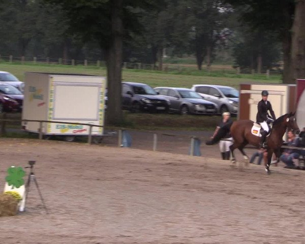 Reitturnier Recklinghausen 2017