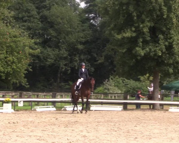 Reitturnier Recklinghausen 2017
