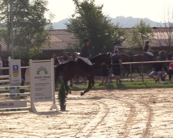 Reitturnier Bühren-Breckerfeld 2017