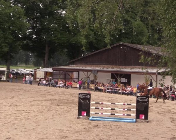 Reitturnier Recklinghausen 2017