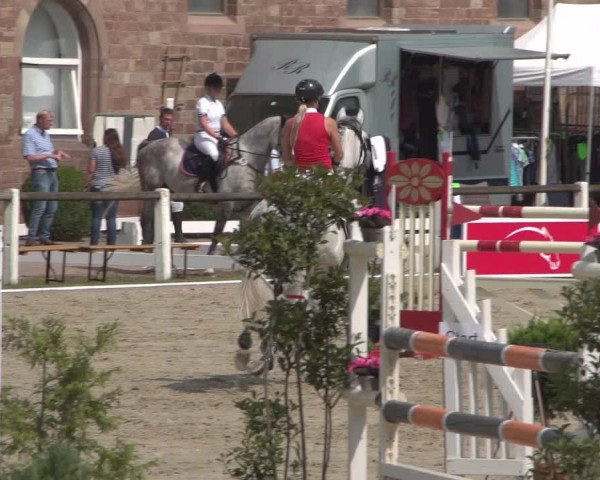 Reitturnier Zweibrücken 2017