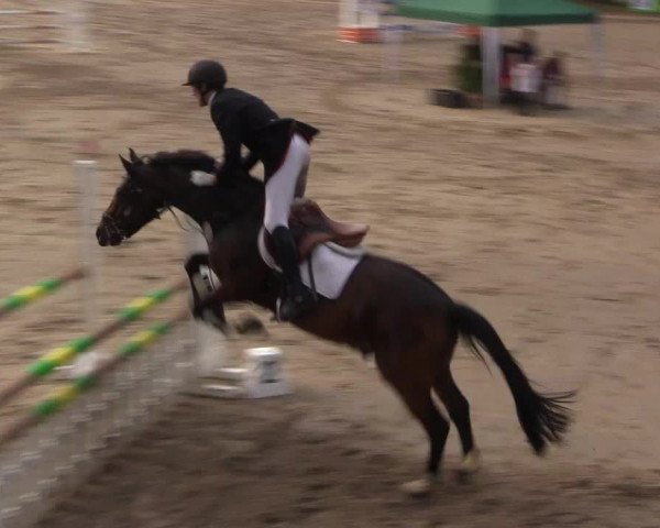Reitturnier Recklinghausen 2017