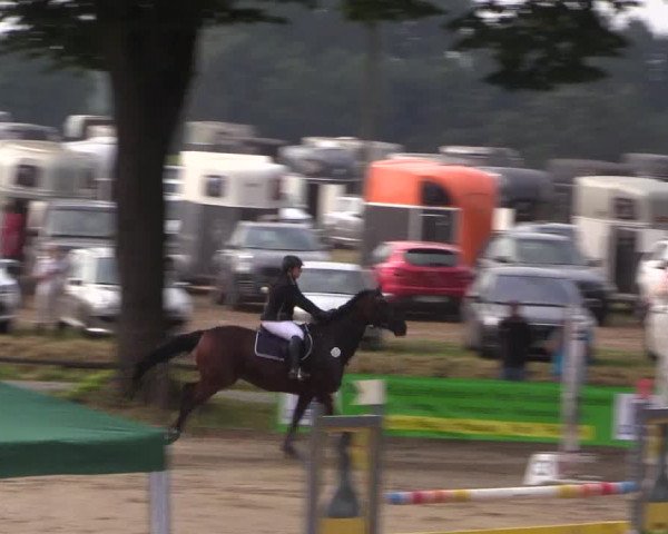 Reitturnier Recklinghausen 2017